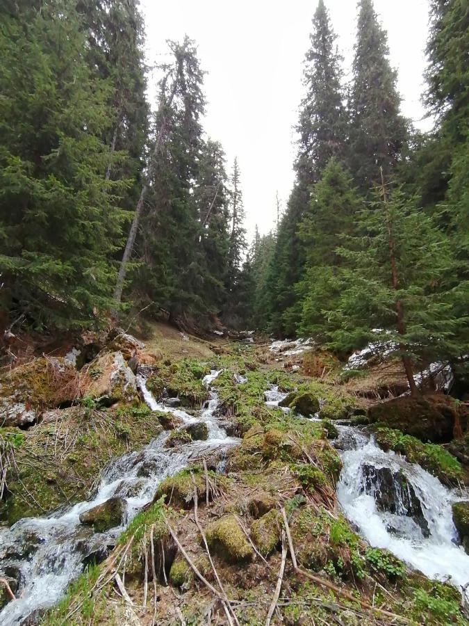 Апартаменты Petkovi Аpartments, Borovets Gardens Экстерьер фото